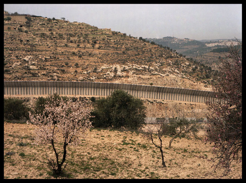 tadamonapartheidwall